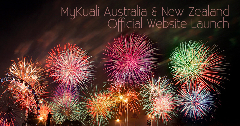 Offical Launch of Our Website Fireworks Offical Launch of Our Website